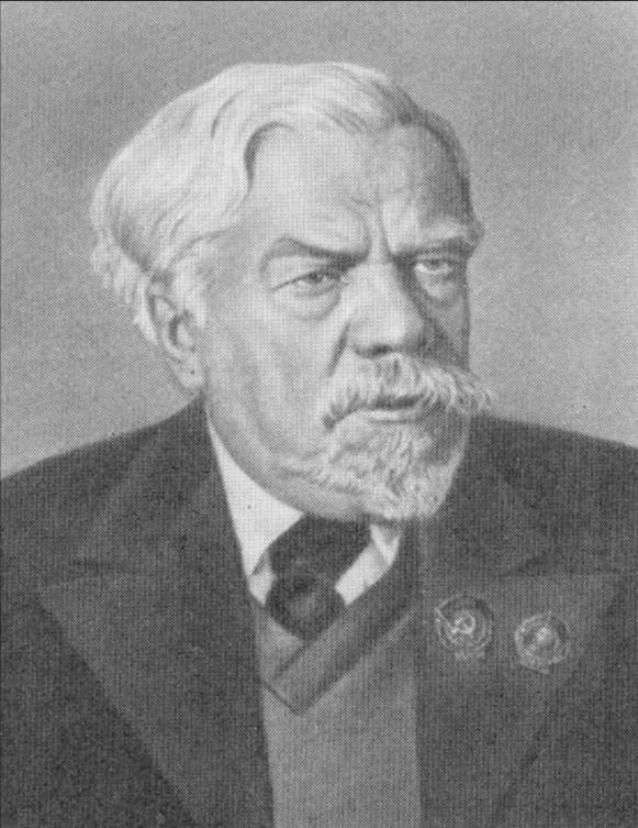 Чаплыгин С.А.